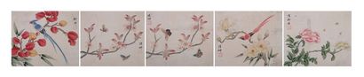 花鸟册页（10选六）