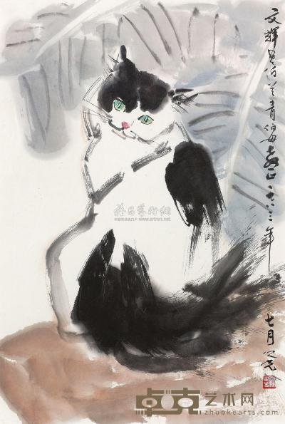 杨之光 猫 镜框 69×45cm