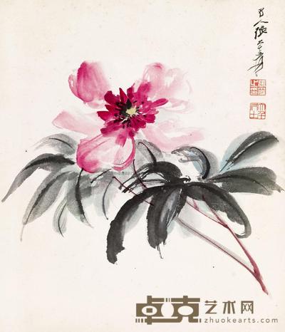 张大千 芍药 镜心 42×36cm