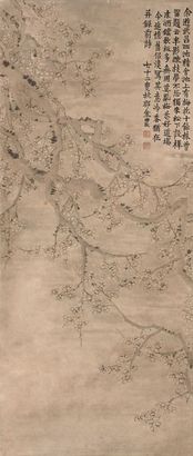 梅花