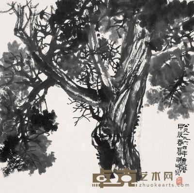 孙其峰 1964年作 翠柏齐天 镜片 53×53cm