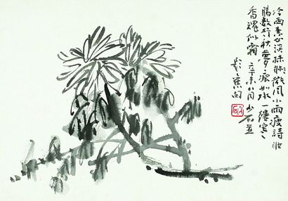 花卉