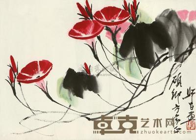 娄师白 牵牛花 镜框 33.8×47.5cm