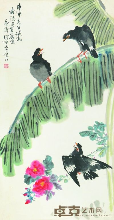 芭蕉八哥 95×49.4