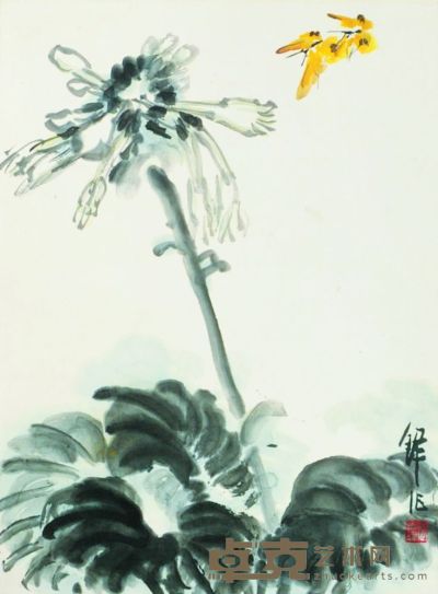 蝴蝶花卉 47×35