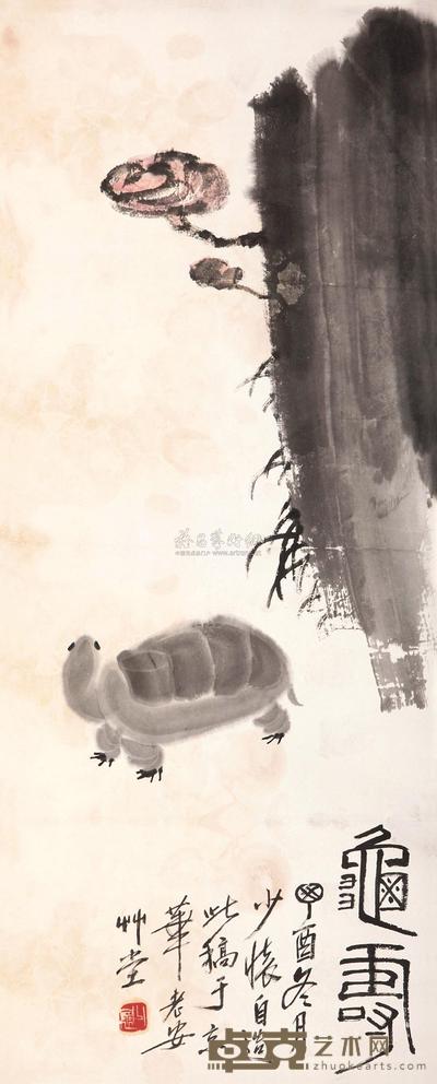 娄师白 1957年作 龟寿 立轴 84×34cm