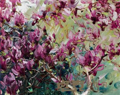 靳之林 2005年作 玉兰花开 65×81cm