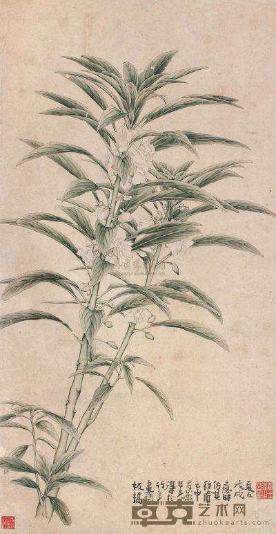 黄士陵 花卉 立轴 75×39cm