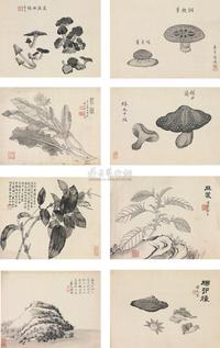 蔡守 花卉 册页 （八开）