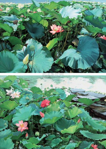 钟耕略 2010年 荷香 （两幅）