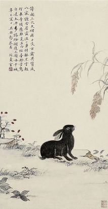 兔