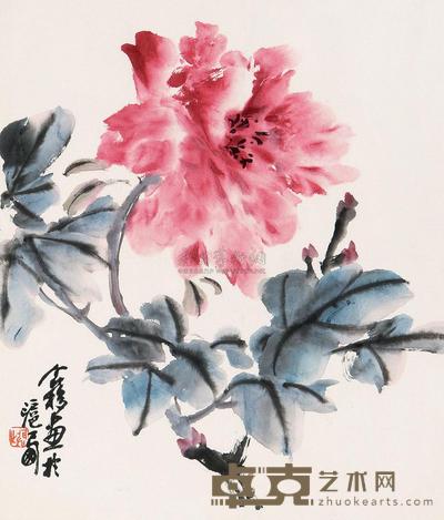 王个簃 花卉 镜心 35×30cm