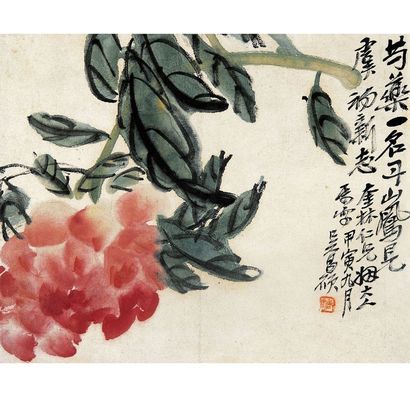 芍药