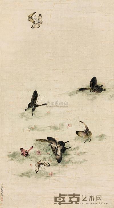 张若霭 蝴蝶 镜片 78×42cm