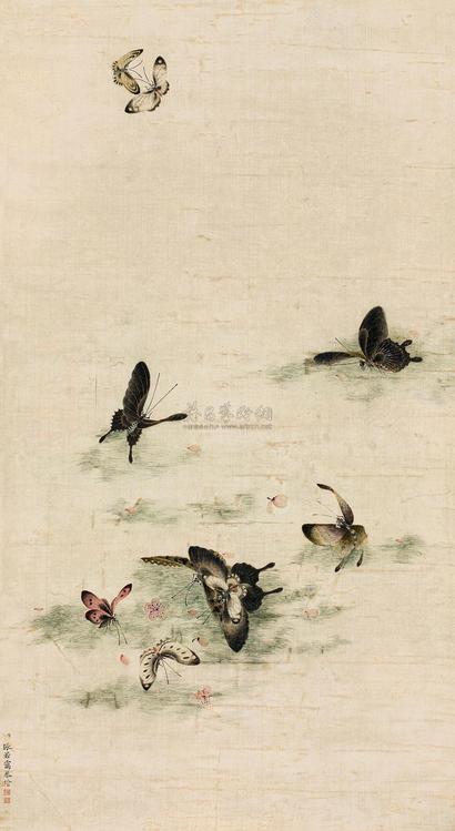 张若霭 蝴蝶 镜片