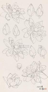 俞致贞 1972年作 线描花卉 镜片