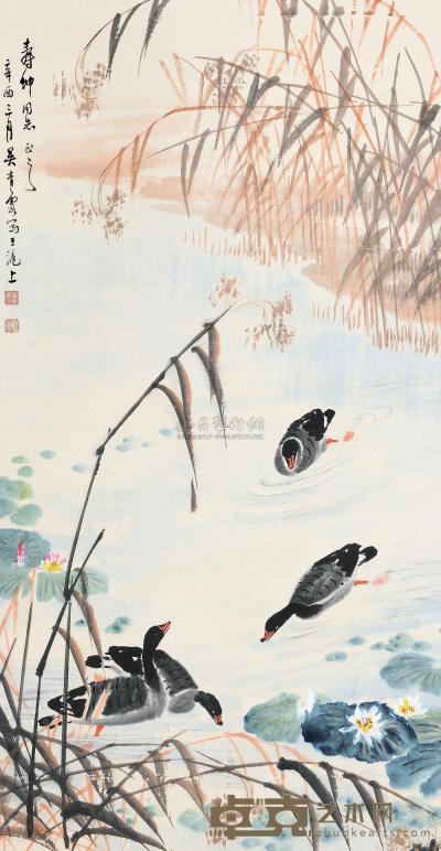 吴青霞 辛酉（1981）年作 芦雁图 立轴 99×51.5cm