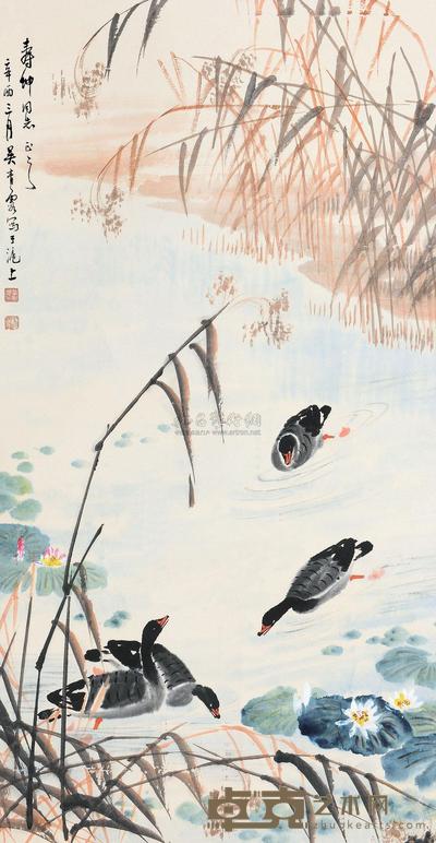 吴青霞 辛酉(1981)年作 芦雁图 立轴 99×51.5cm