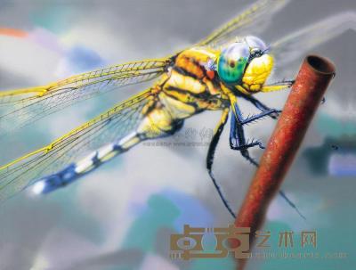曹静萍 2005年作 黄蜻蜓 2005 110×140cm