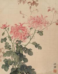 沈仲强 菊花 镜片