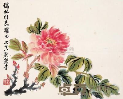 胡絜青 富贵图 镜心 27×34cm