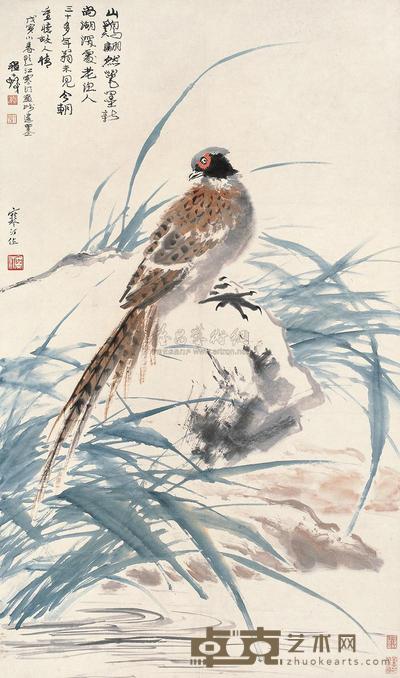 江寒汀  锦鸡 立轴 117.5×69cm