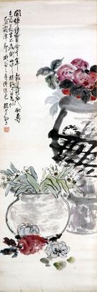 蔬果镜片