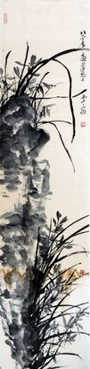兰花镜片