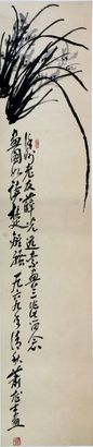 兰草镜片