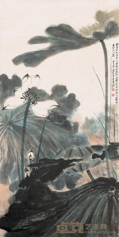 张大千 戊子(1948)年作 秋荷 镜片 138×69cm