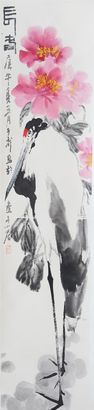 花鸟