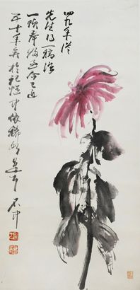 菊花