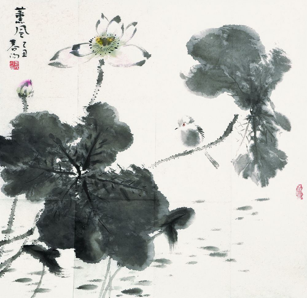 霍春阳荷花