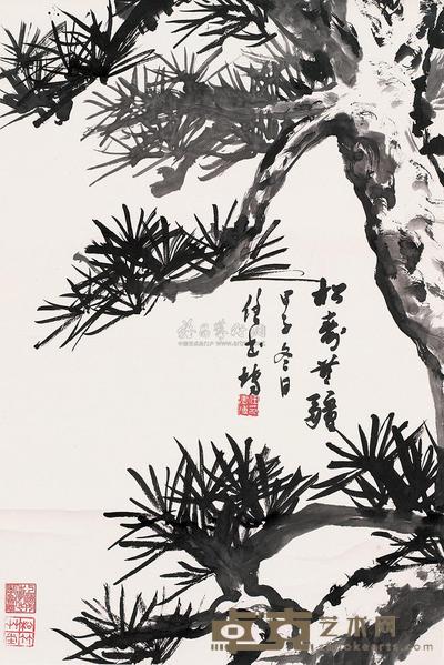 任书博 甲子（1984）年作 松寿无疆 立轴 66×44cm