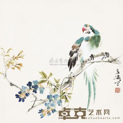 王雪涛 鹦鹉花卉 镜心 49×49cm