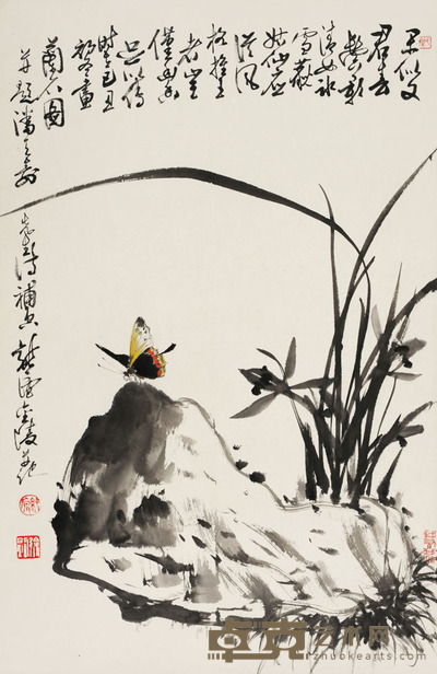 徐纯原 兰蝶图 70×45
