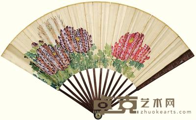 佚名 菊花图 成扇 17×50cm