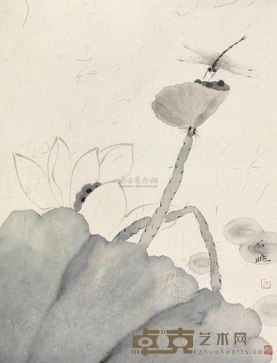 石晓 荷花蜻蜓 镜心 61×46cm