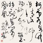 马世晓 草书 软片