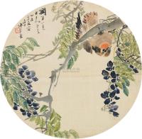 沙馥 1895年作 藤枝小鸟 镜片