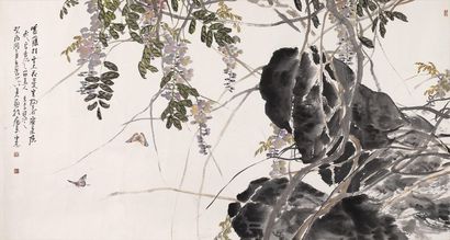 管峻 紫藤蝴蝶
