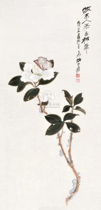 张大千 白山茶花卉图