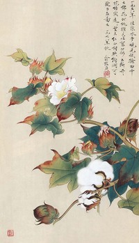 俞致贞 棉花