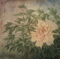 杜平让 花卉