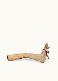东革阿里根木“阿里的拐杖”