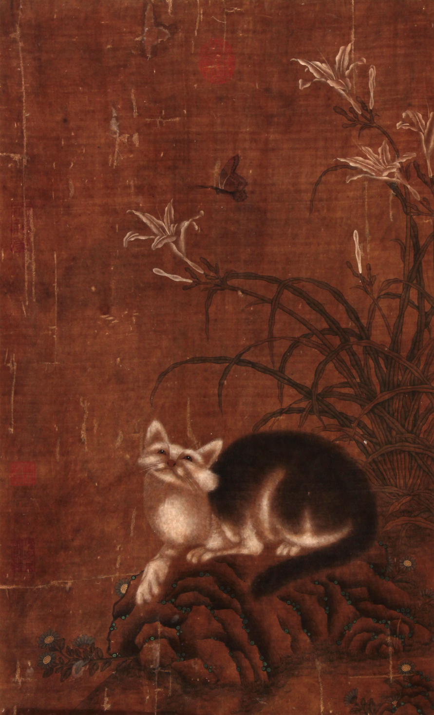 佚  名 蝶猫立轴