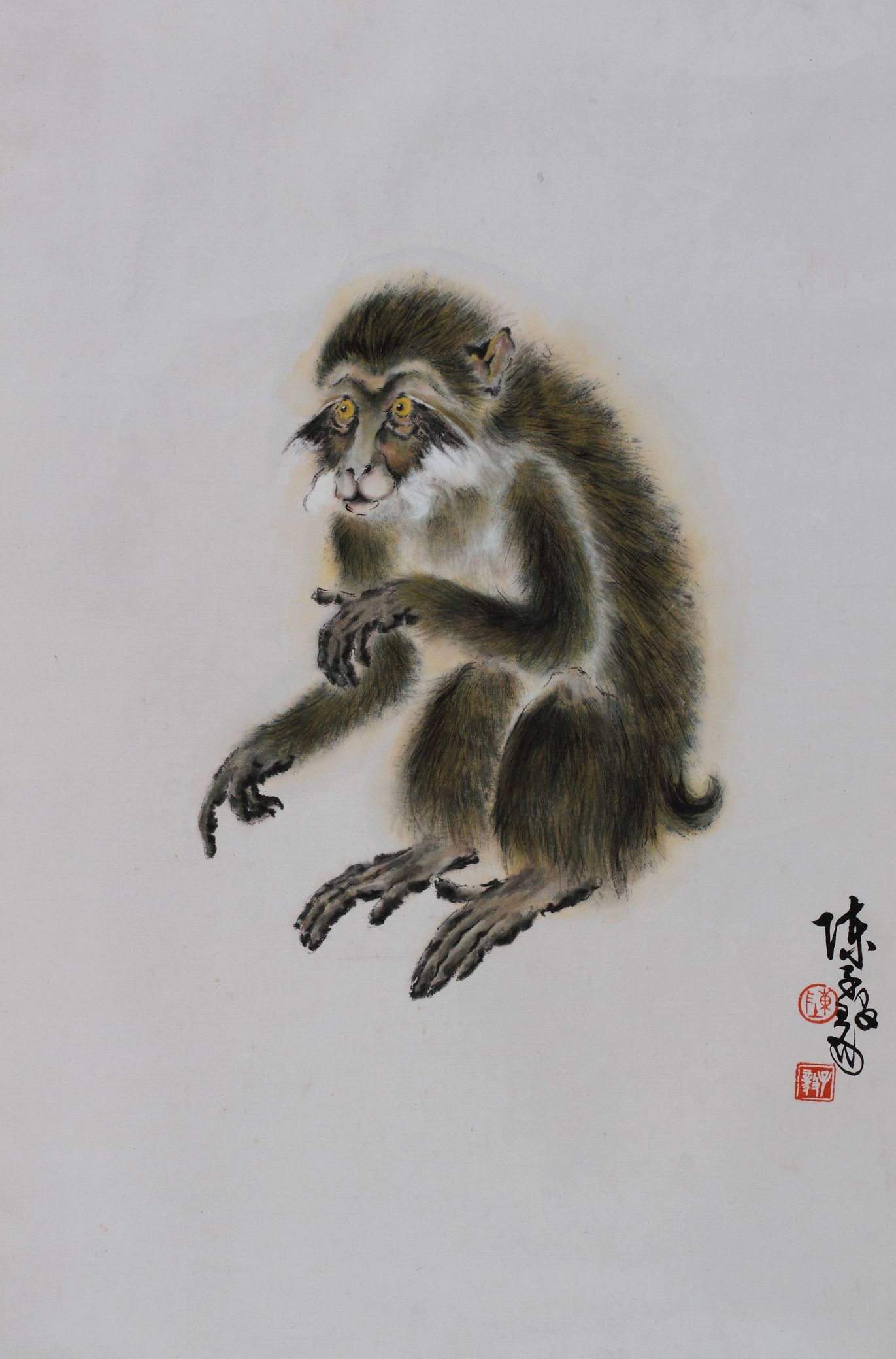 陈子毅 猴子