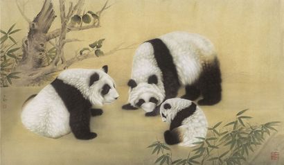 王生勇 工笔熊猫