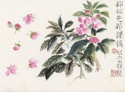陆抑非  花卉