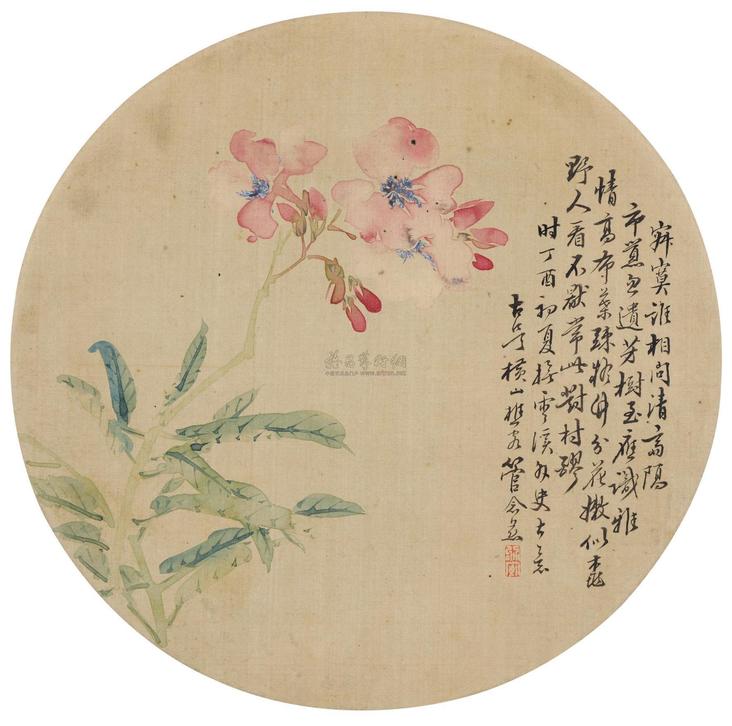 管念慈 秋葵 圆光